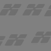 Vestibulum erat wisi