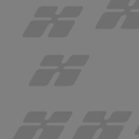 Donec non enim in turpis